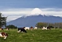 Full Day Around Llanquihue Lake 